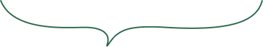 decorative line